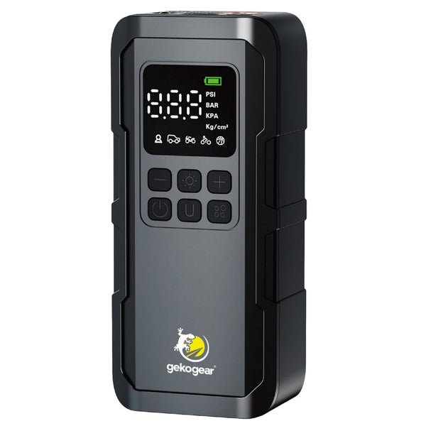 AIRFLUX 100 AIR PMP W/PB