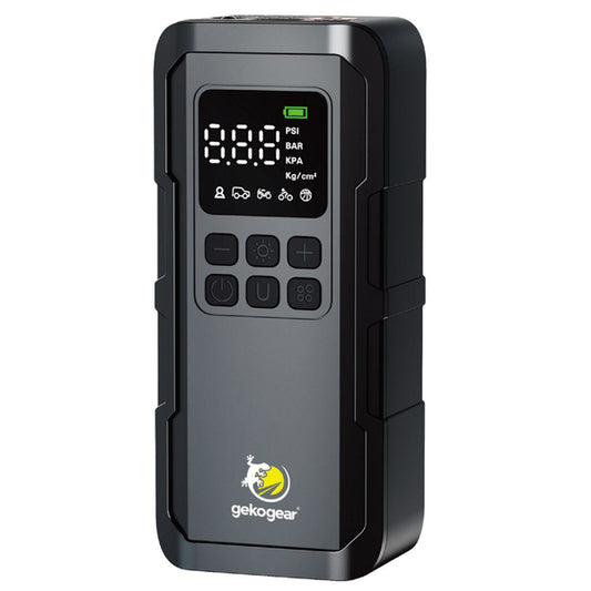 AIRFLUX 100 AIR PMP W/PB
