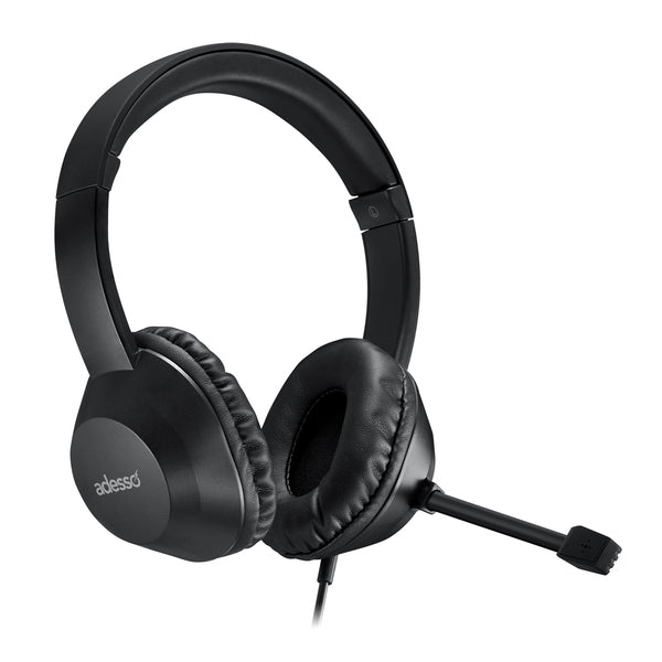 AI COPILOT HDST W/MIC